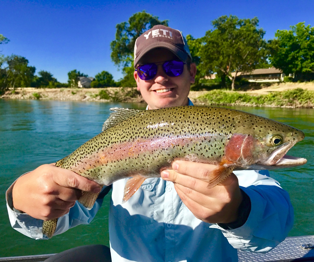 Shasta, Trinity, and Whiskeytown Lakes giving up limits!