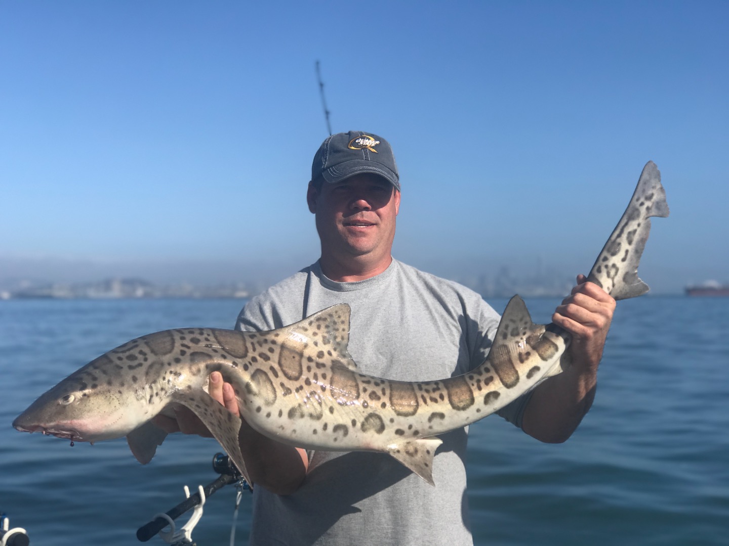 Fly Fishing for Leopard Sharks on the beach in Malibu California