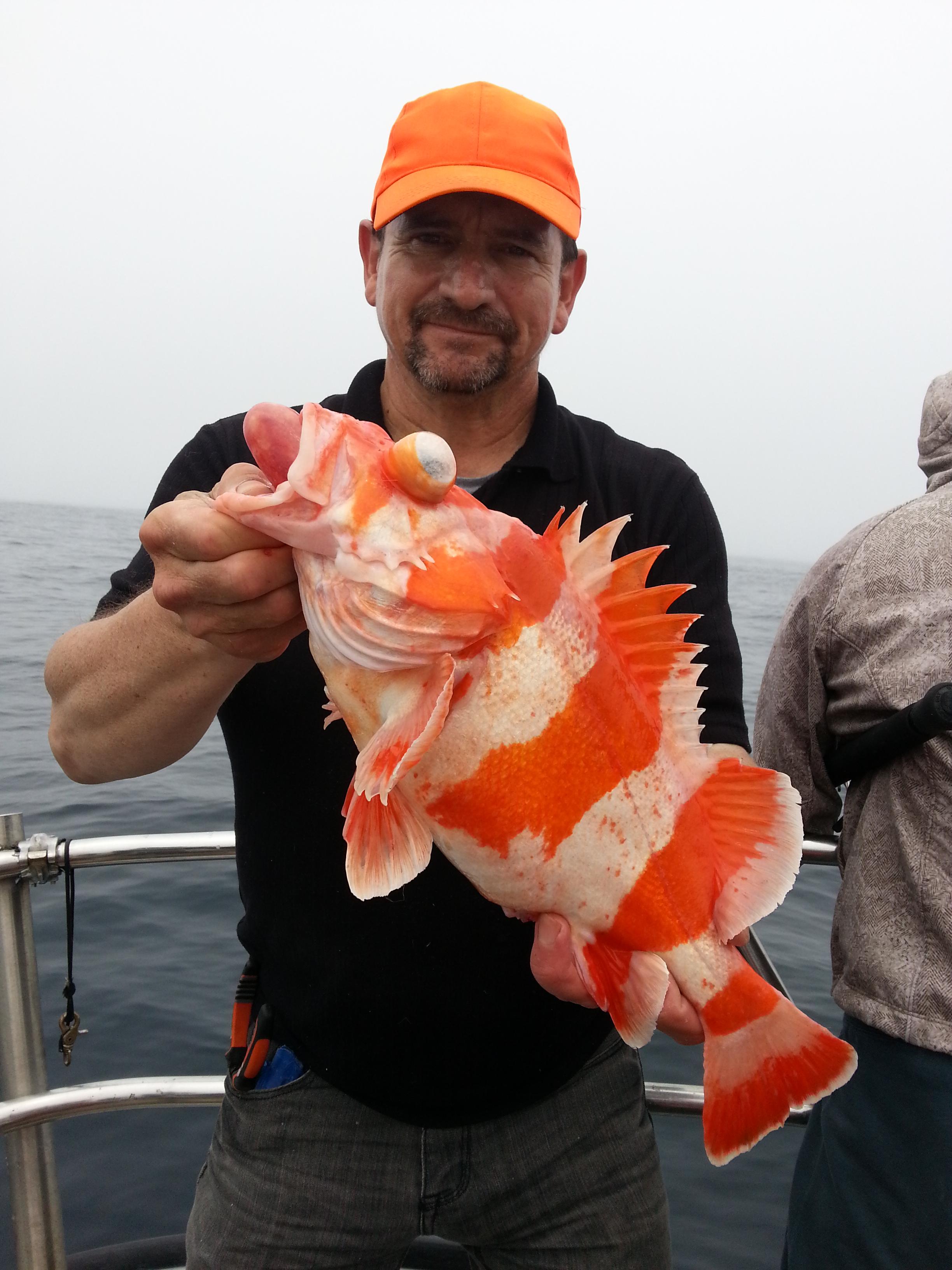 TigerFish Rockfishing Action