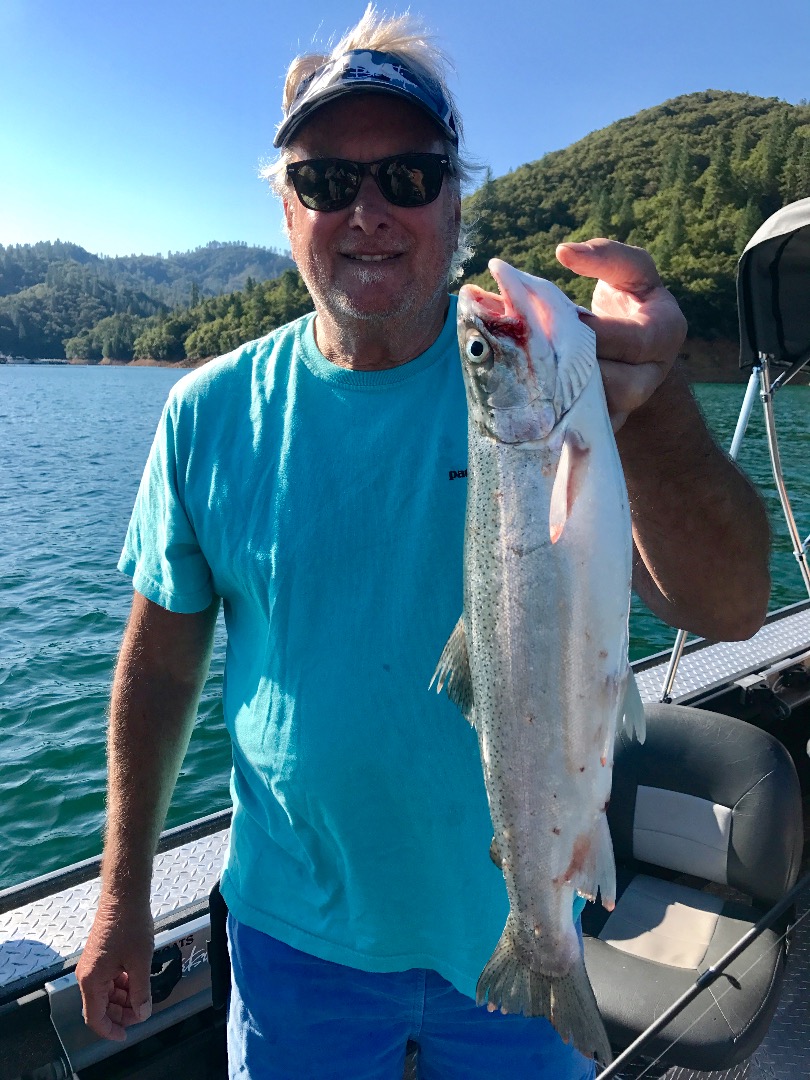 Shasta lake continues to deliver!