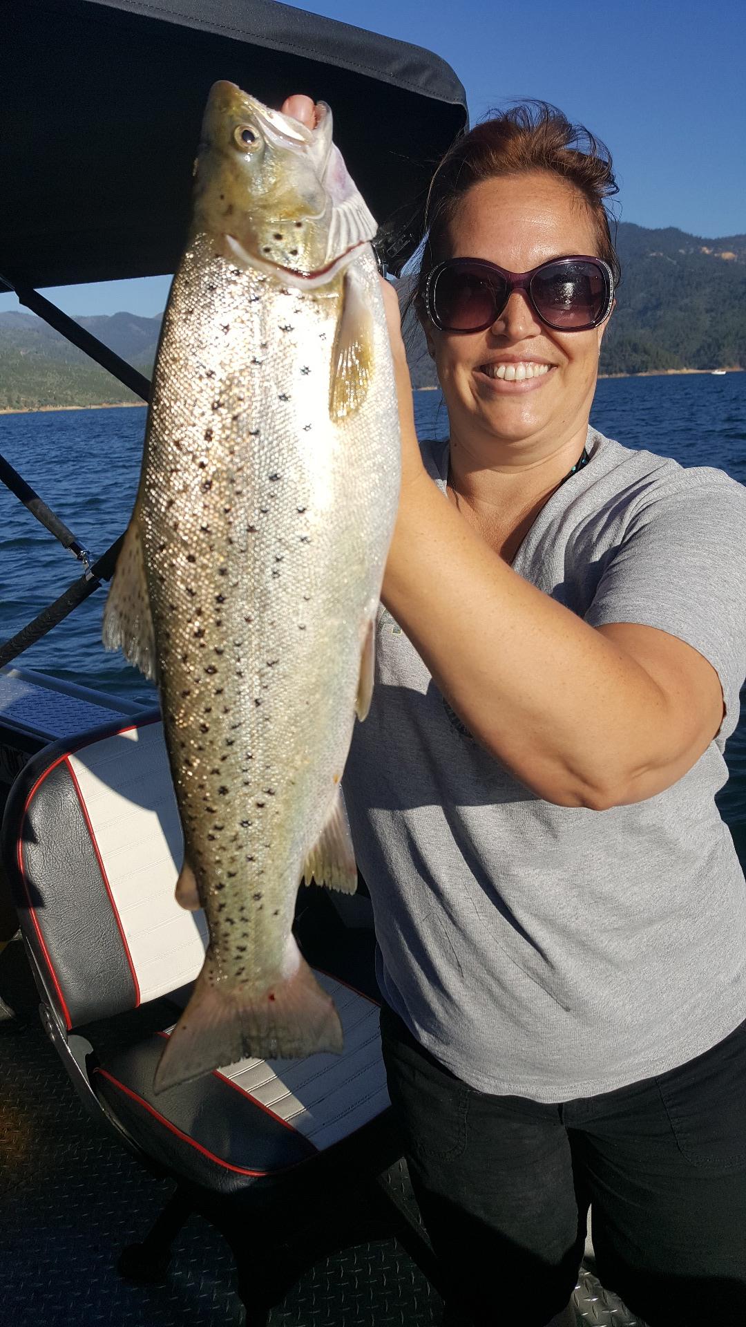 Shasta  scores big rainbows