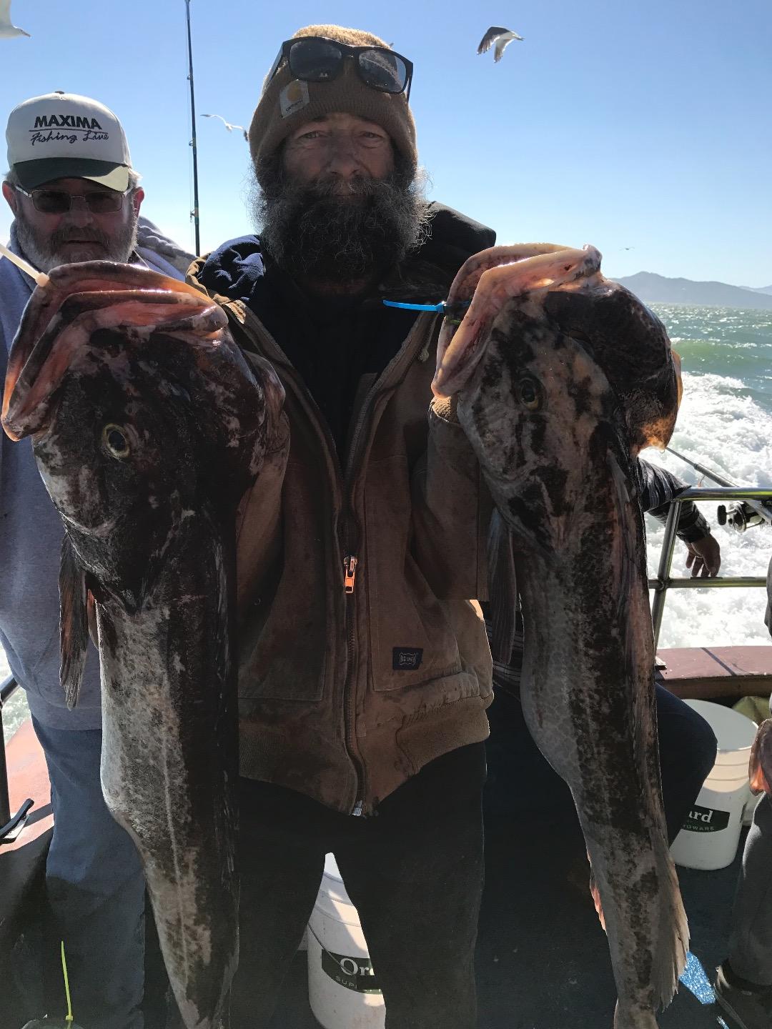 Limits of lingcod at the farallon islands