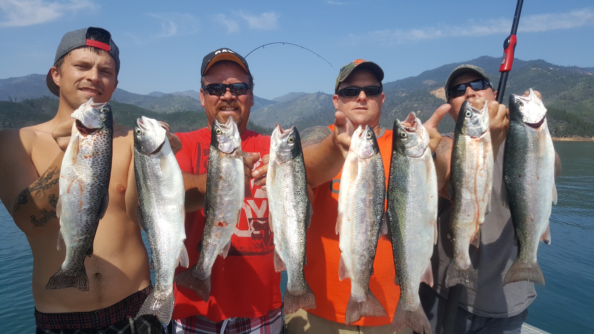 Limits daily Shasta lake