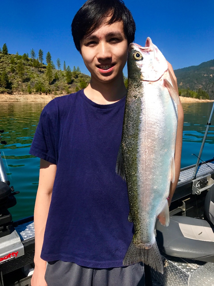 Early limits on Shasta Lake