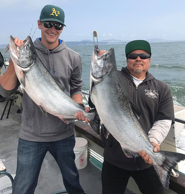 SF Salmon Report