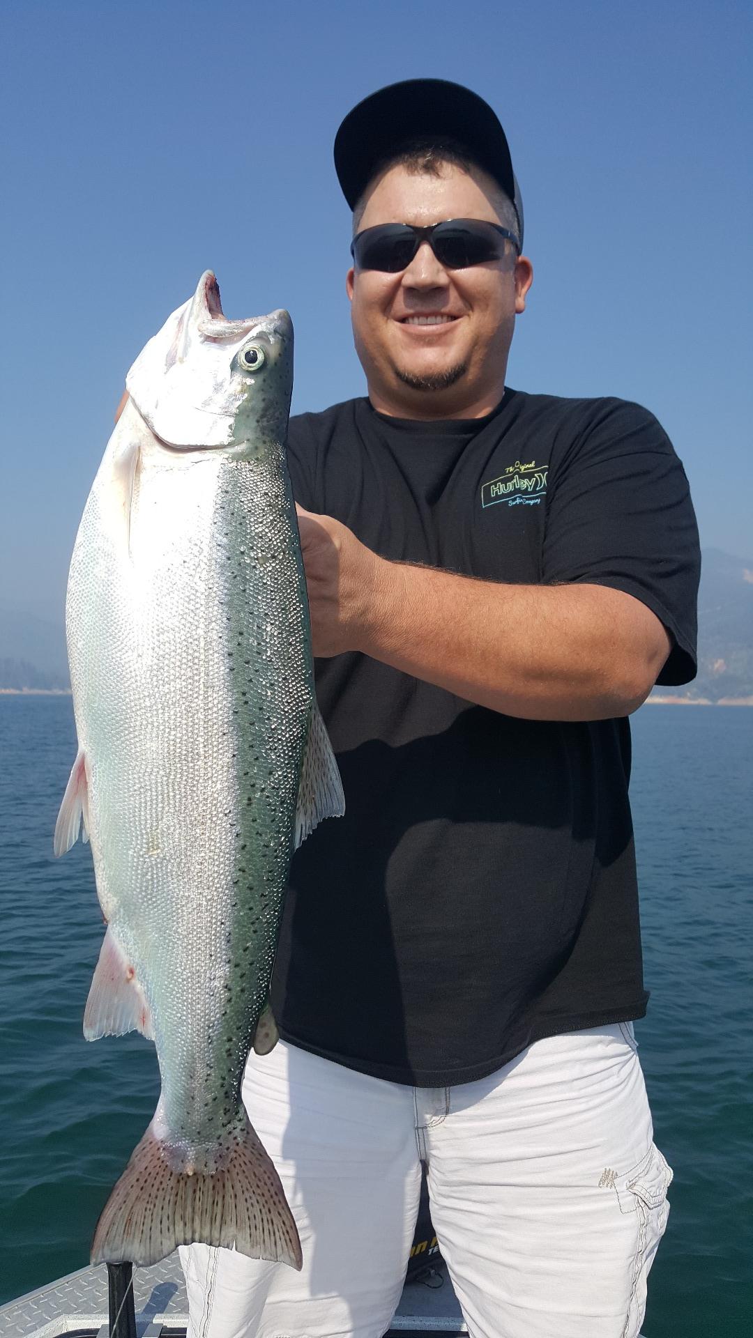 Limits daily Shasta lake