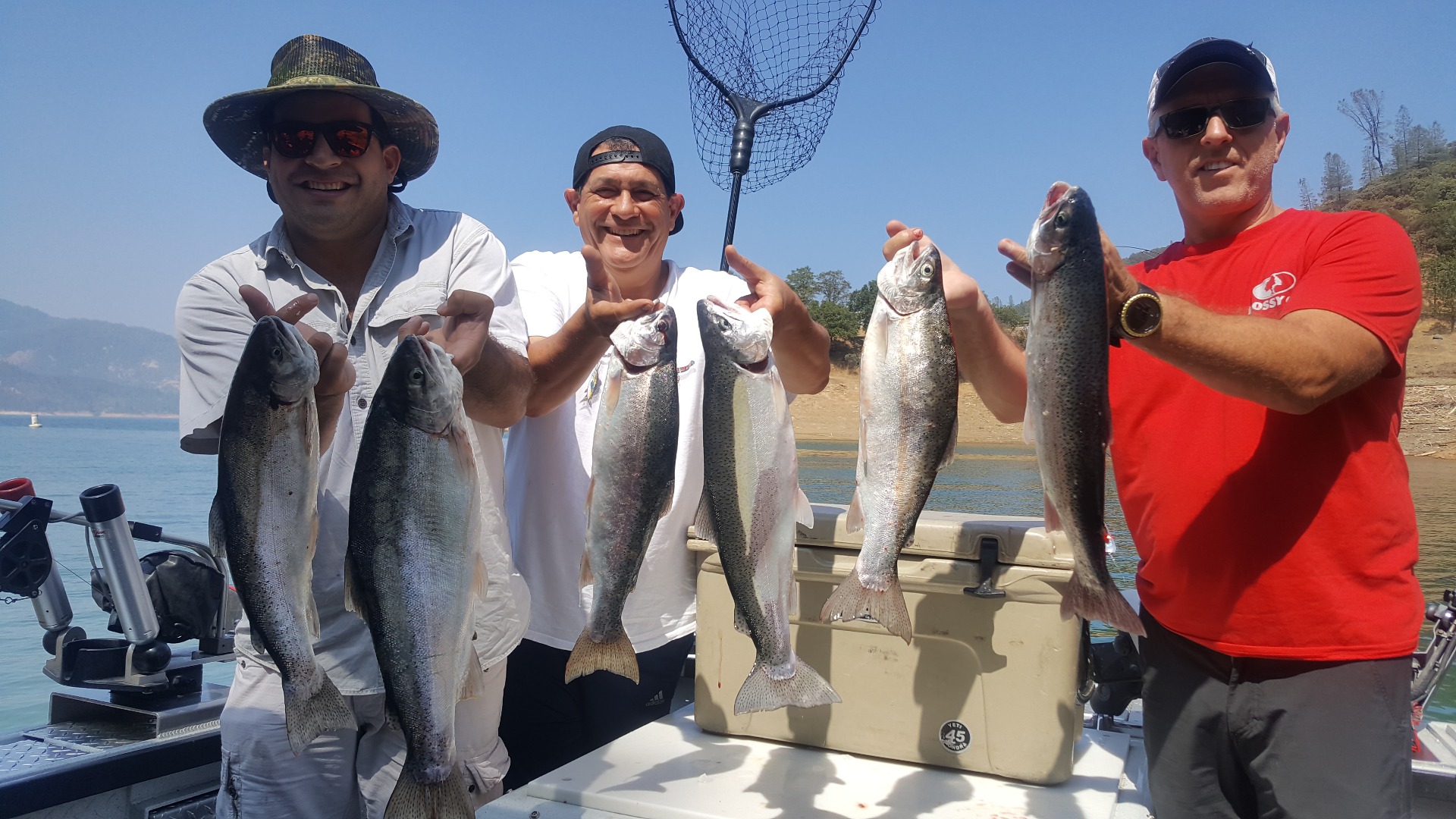 Limits daily Shasta lake