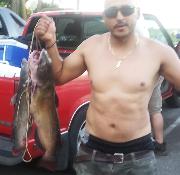 San Pablo Reservoir Fish Report 8-27-17
