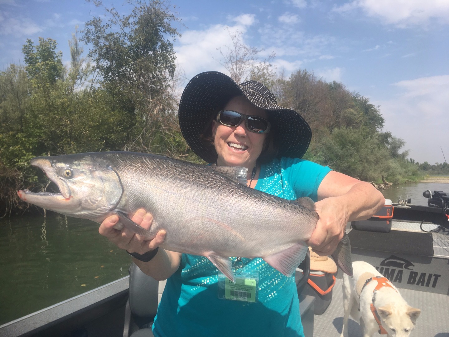 Salmon in the canyon