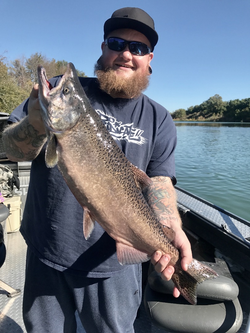 King salmon bite continues!