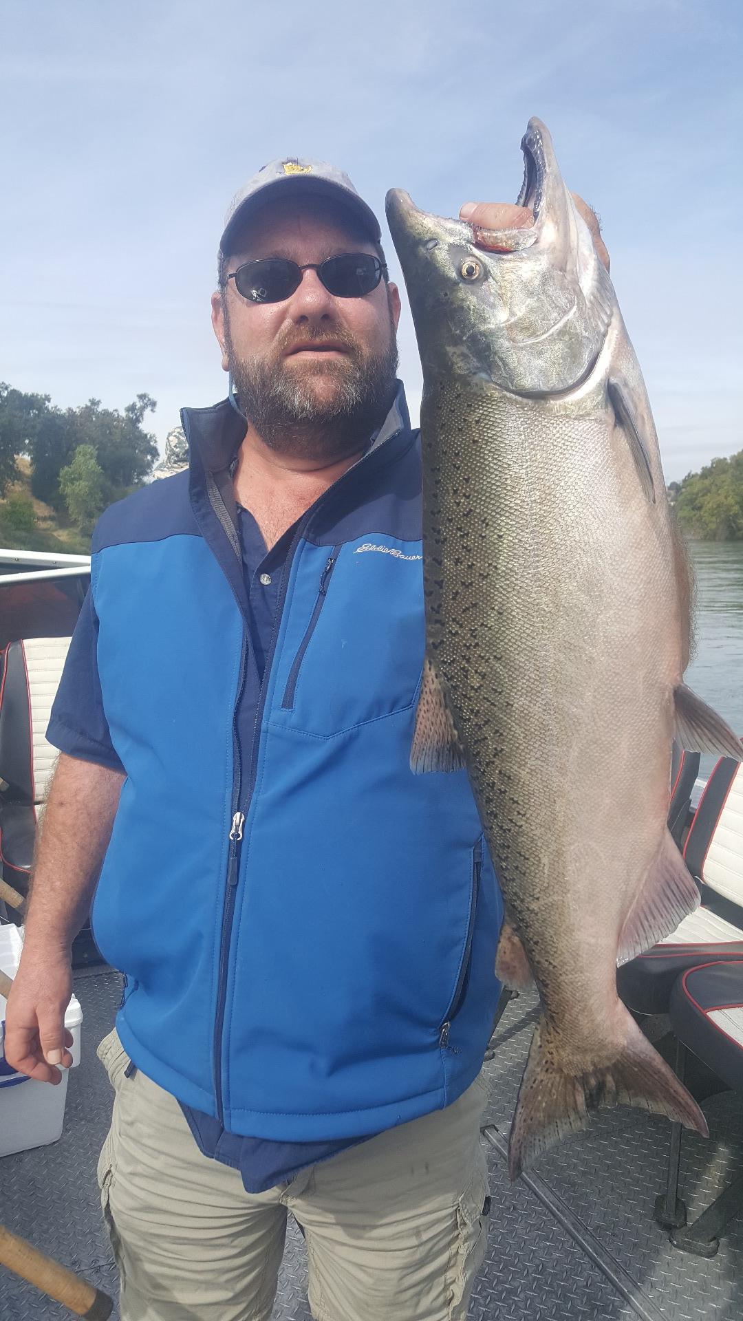 King salmon on the Sacramento 