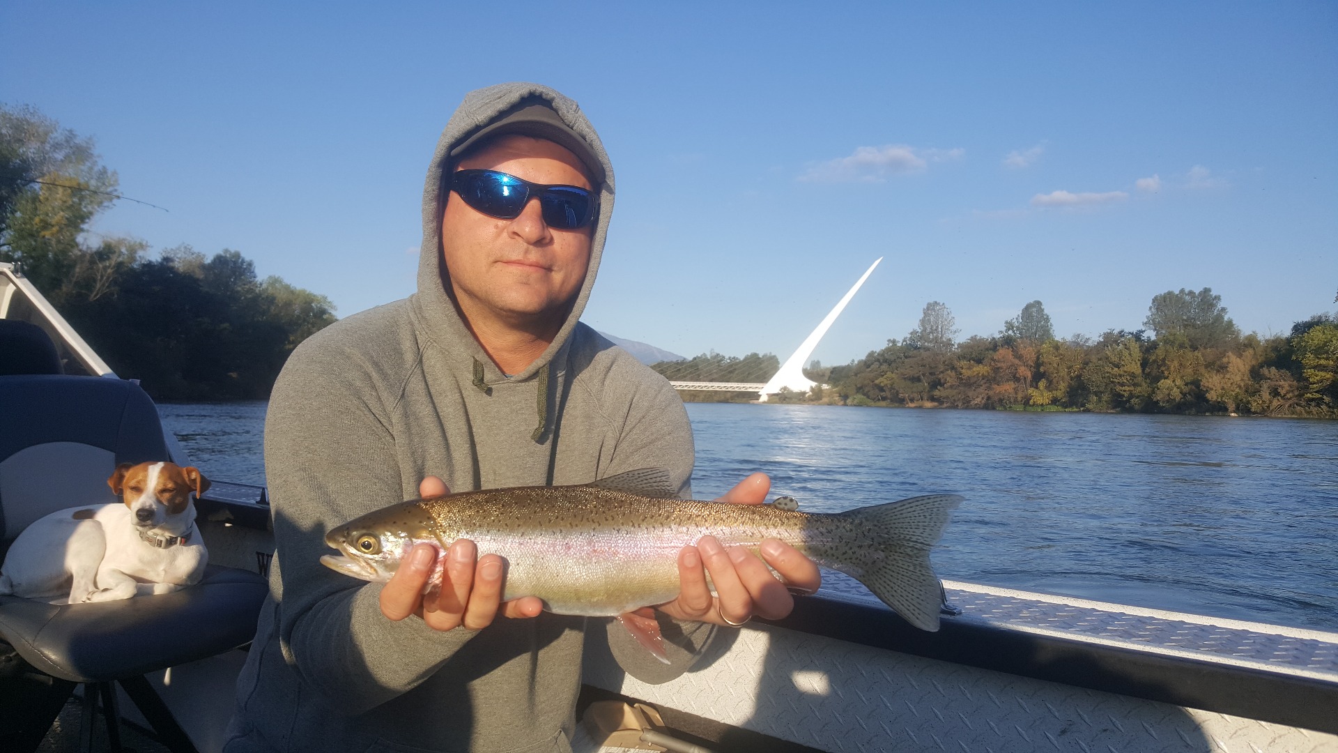 Sac  rainbows still on the bite!!