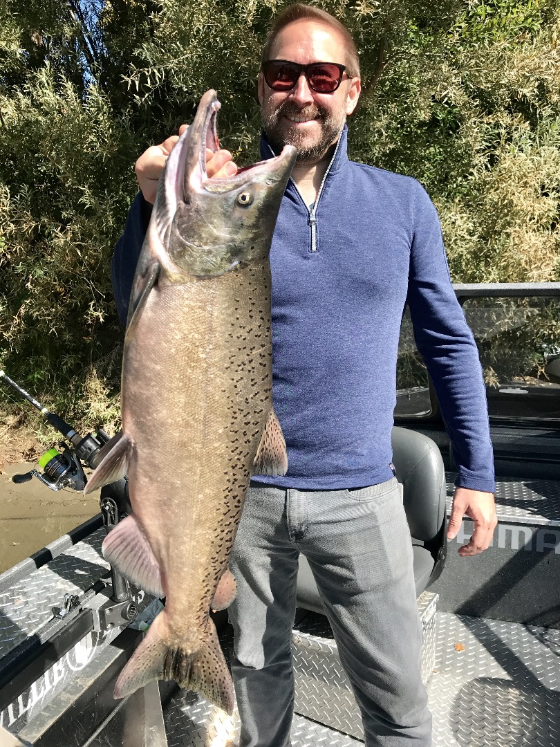 More Sac salmon arrive above Red Bluff!