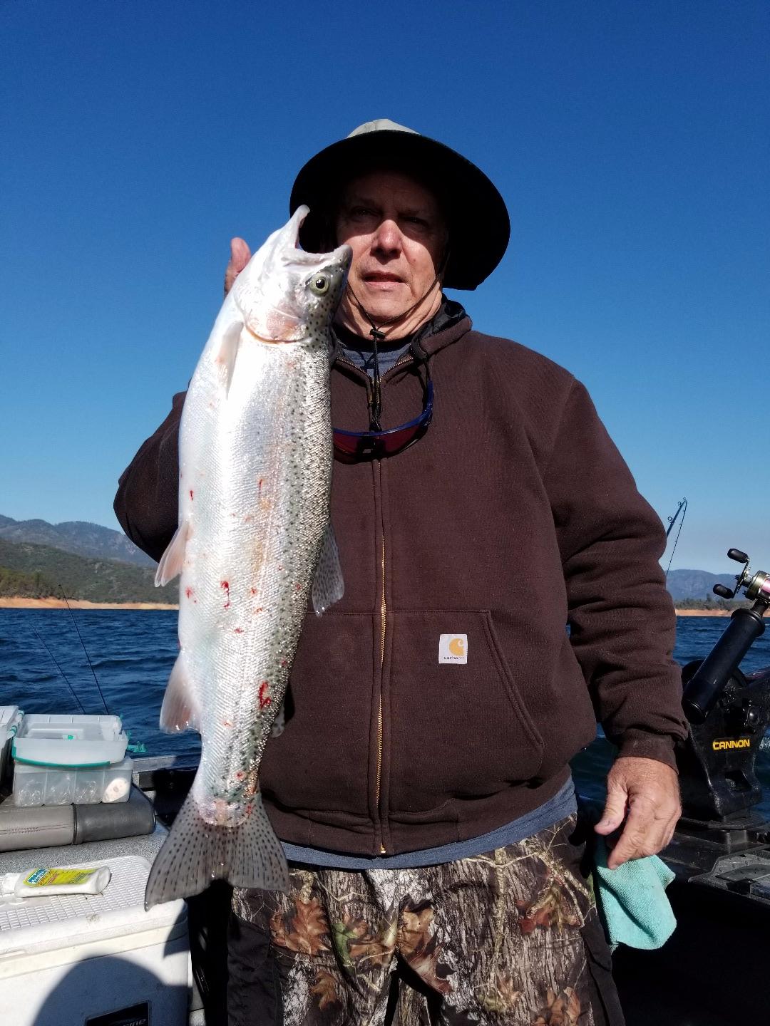 Moon slows Shasta Trout bite down