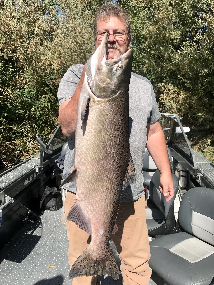 Bigger Sac River fish showing above Red Bluff.