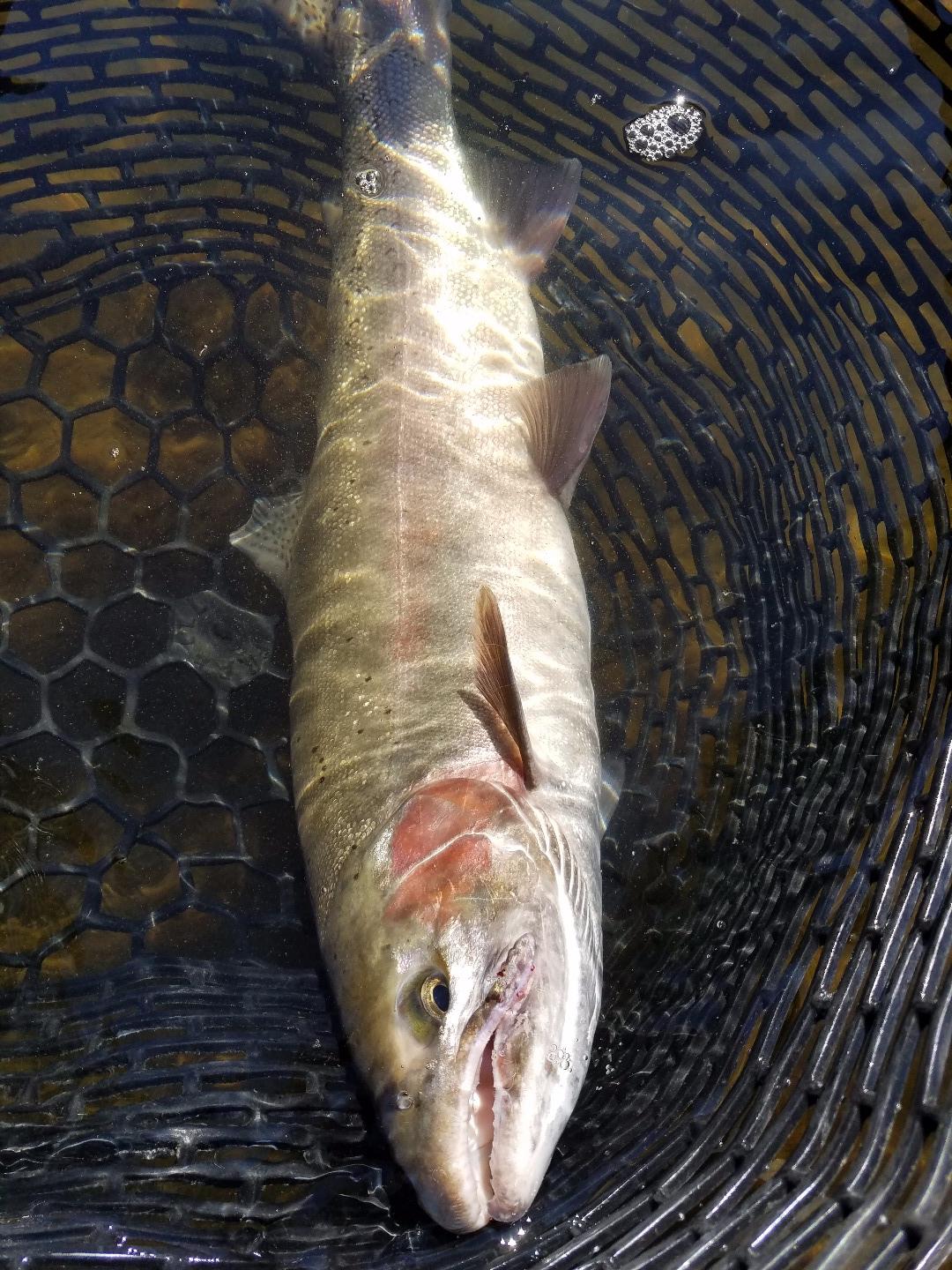 Great weather Great fishing