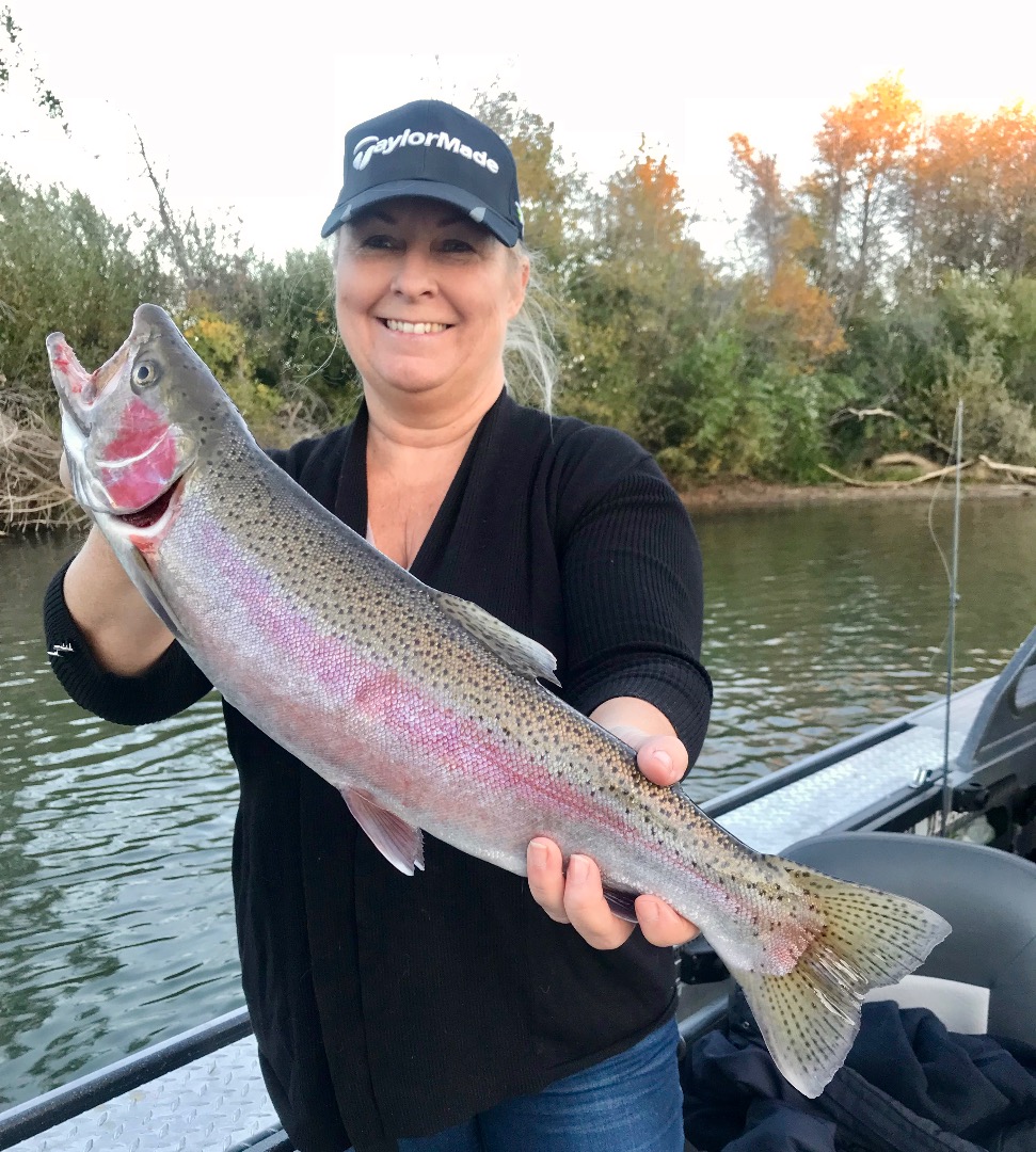 Salmon and steelhead bite continues on the Sac!