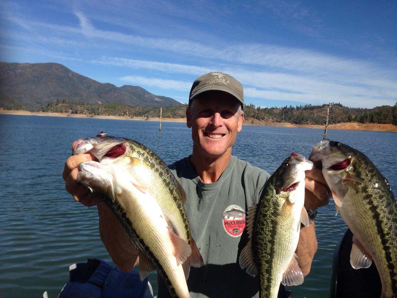 Shasta Lake Fish Report Shasta Lake Limits of bass on shasta