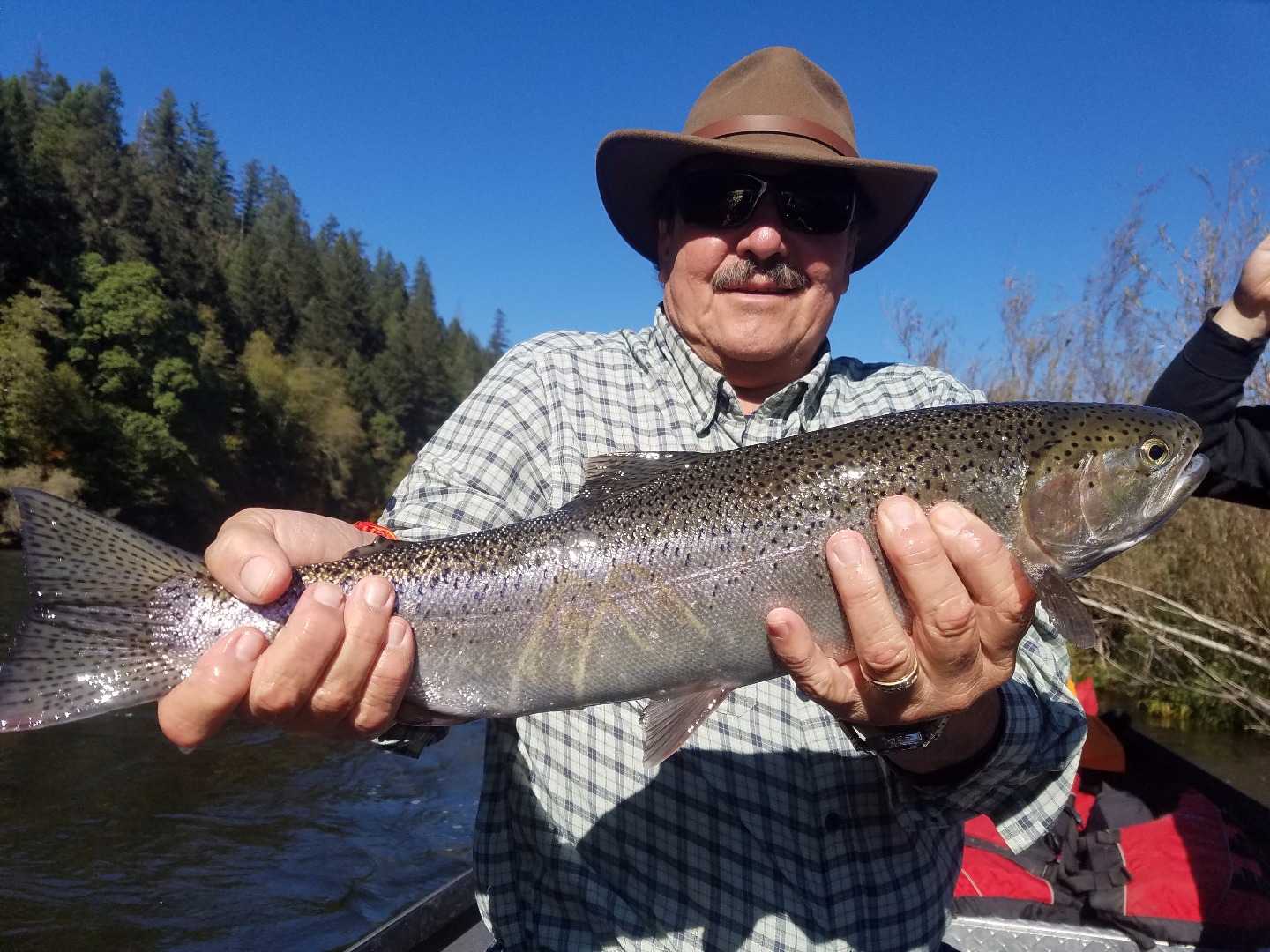 Hatchery steelhead on the Klamath do exist