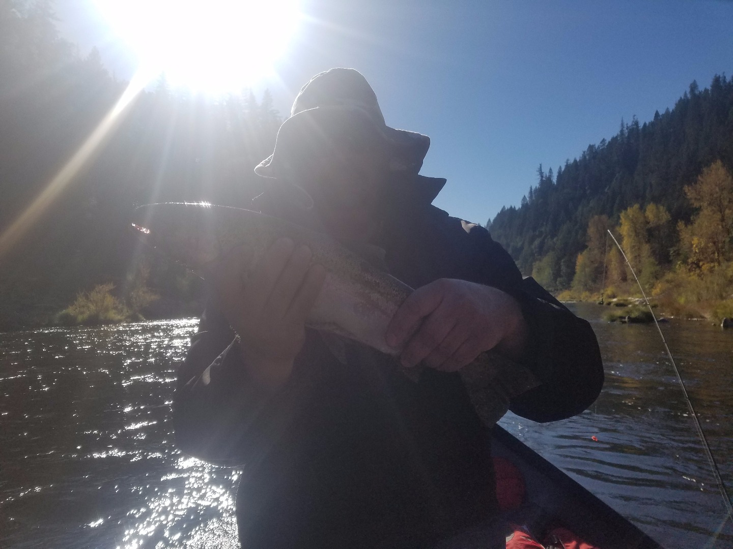 Sunshine and Steelhead