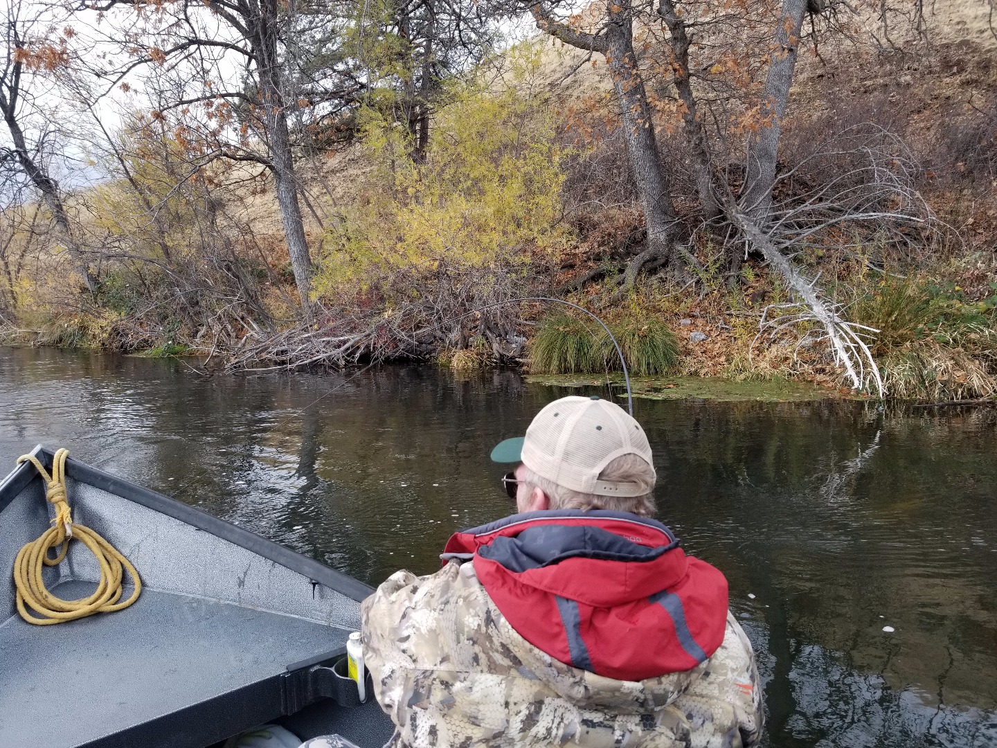 Klamath Steelhead keeps rods Bent