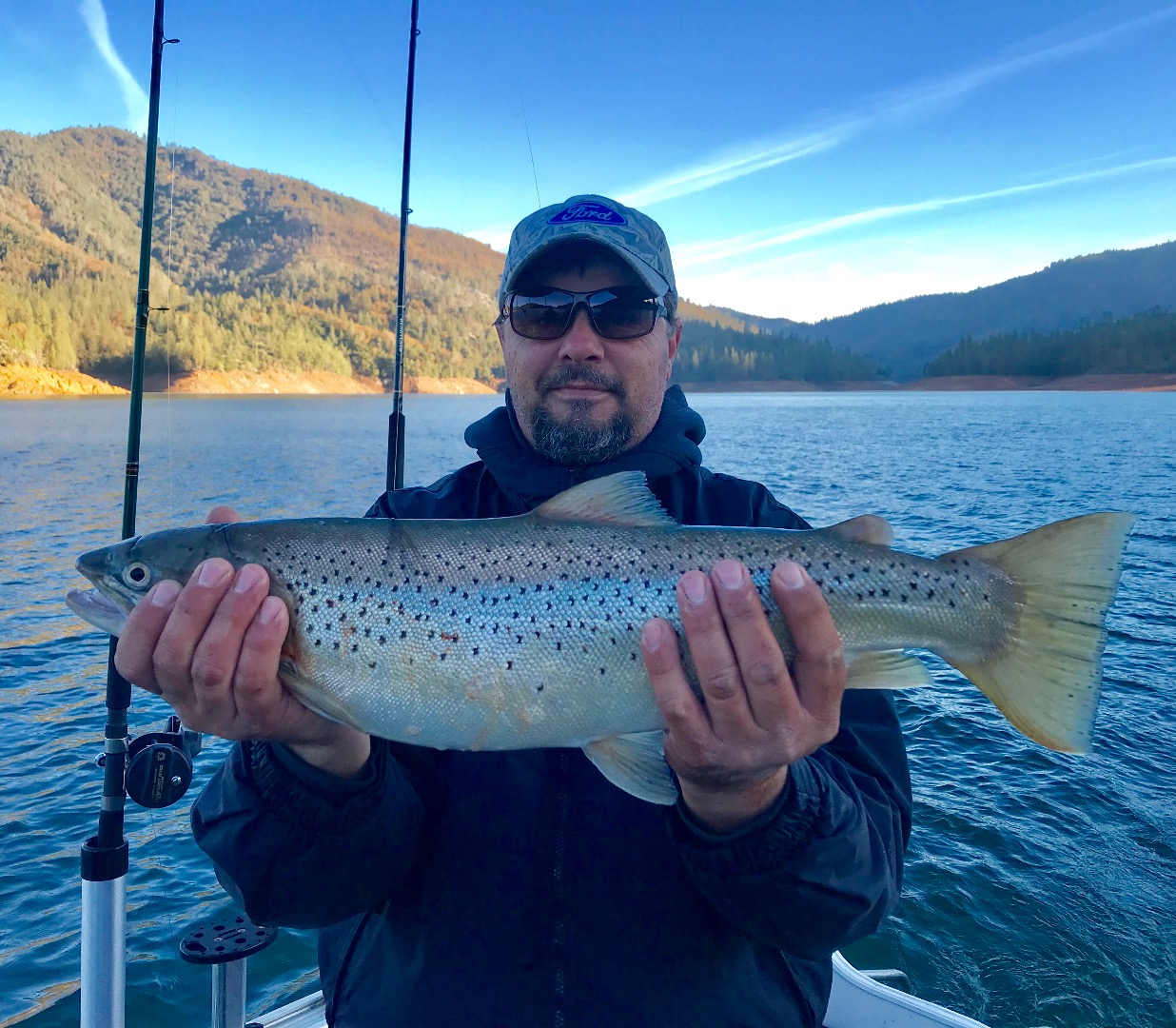 Above and below Shasta Dam this week!