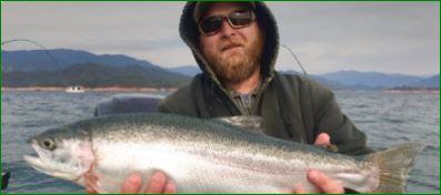 Trolling for Shasta Lake Trophy Trout