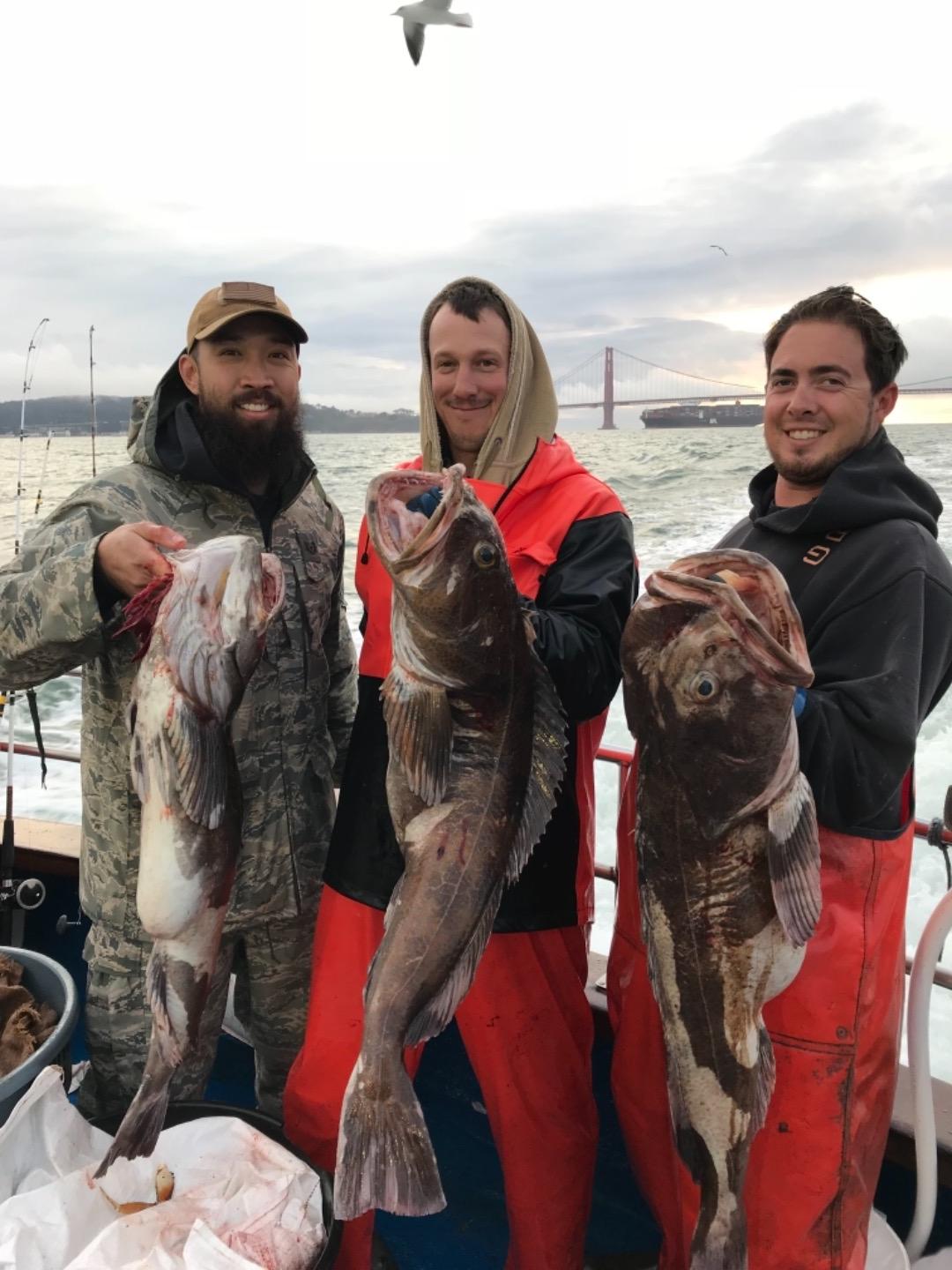 Near limits of Lingcod! Limits of crab and rockfish!