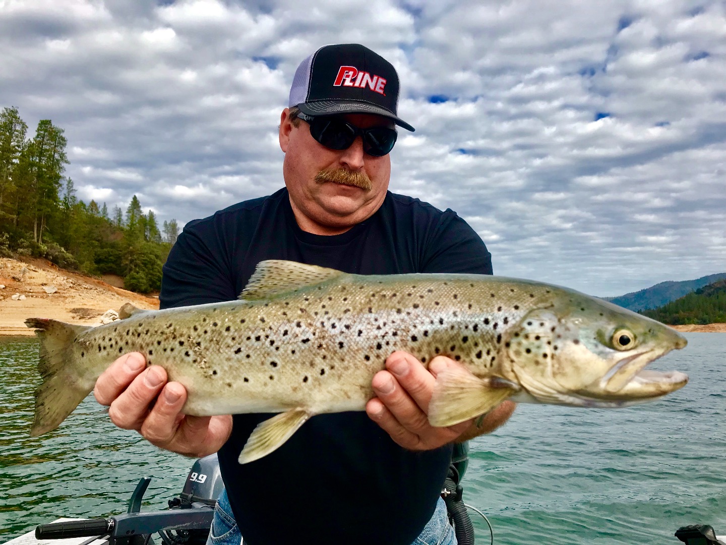 Shasta Lake brown trout!