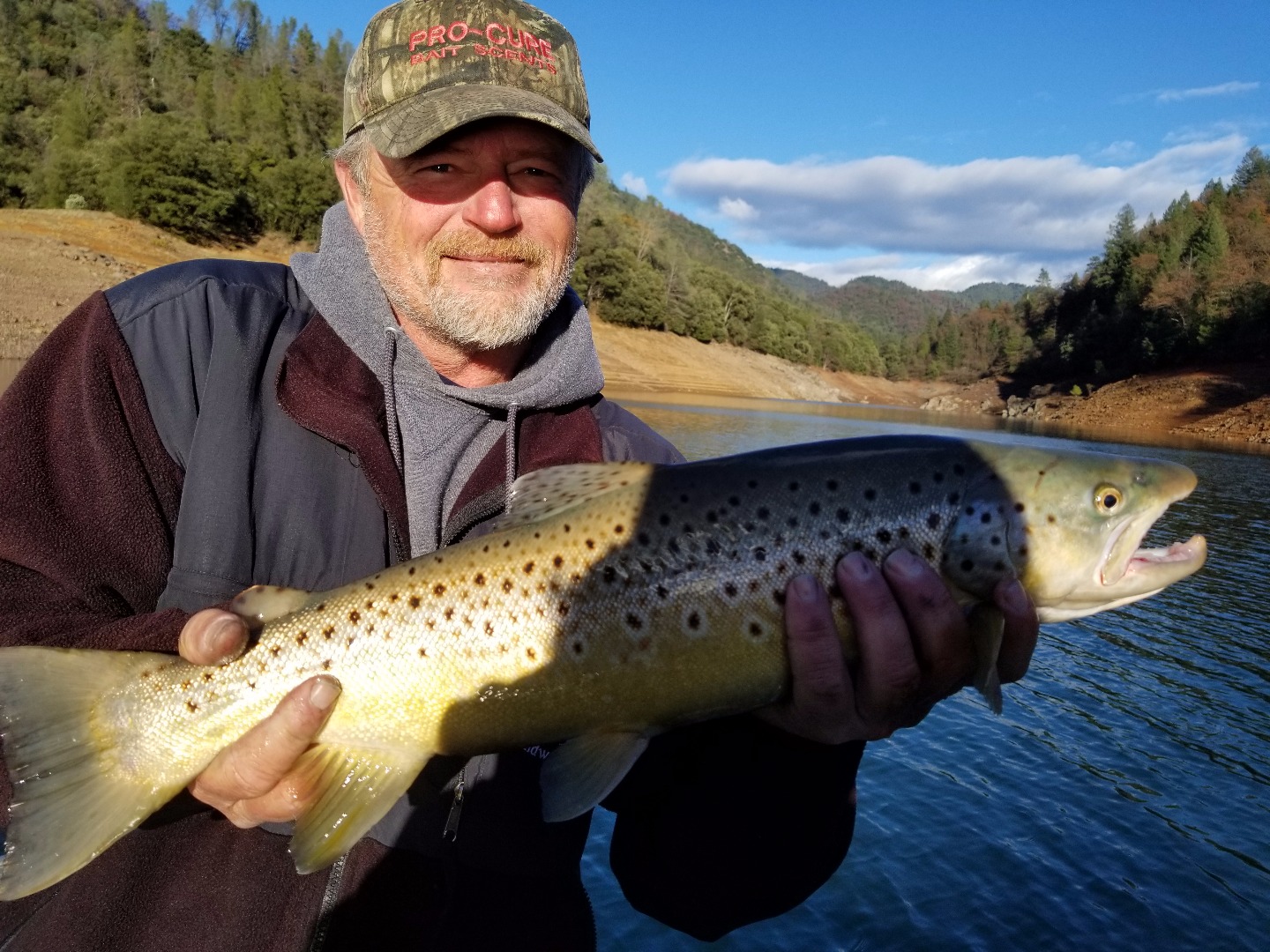 December Shasta Lake Brown Trout 