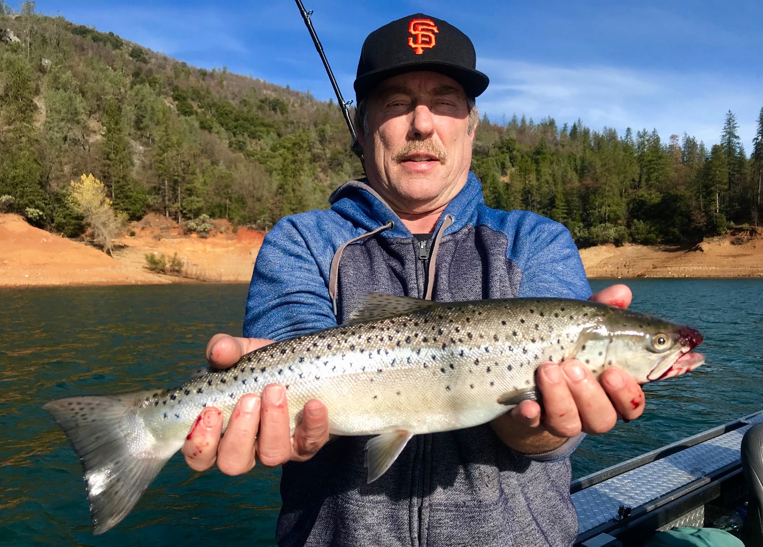 Covering lots of water for Shasta Lake trout.