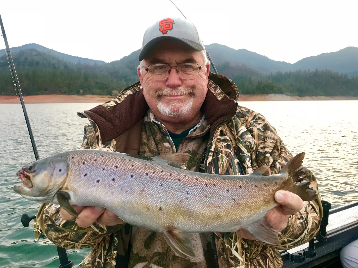 Shasta Lake brown trout still available.