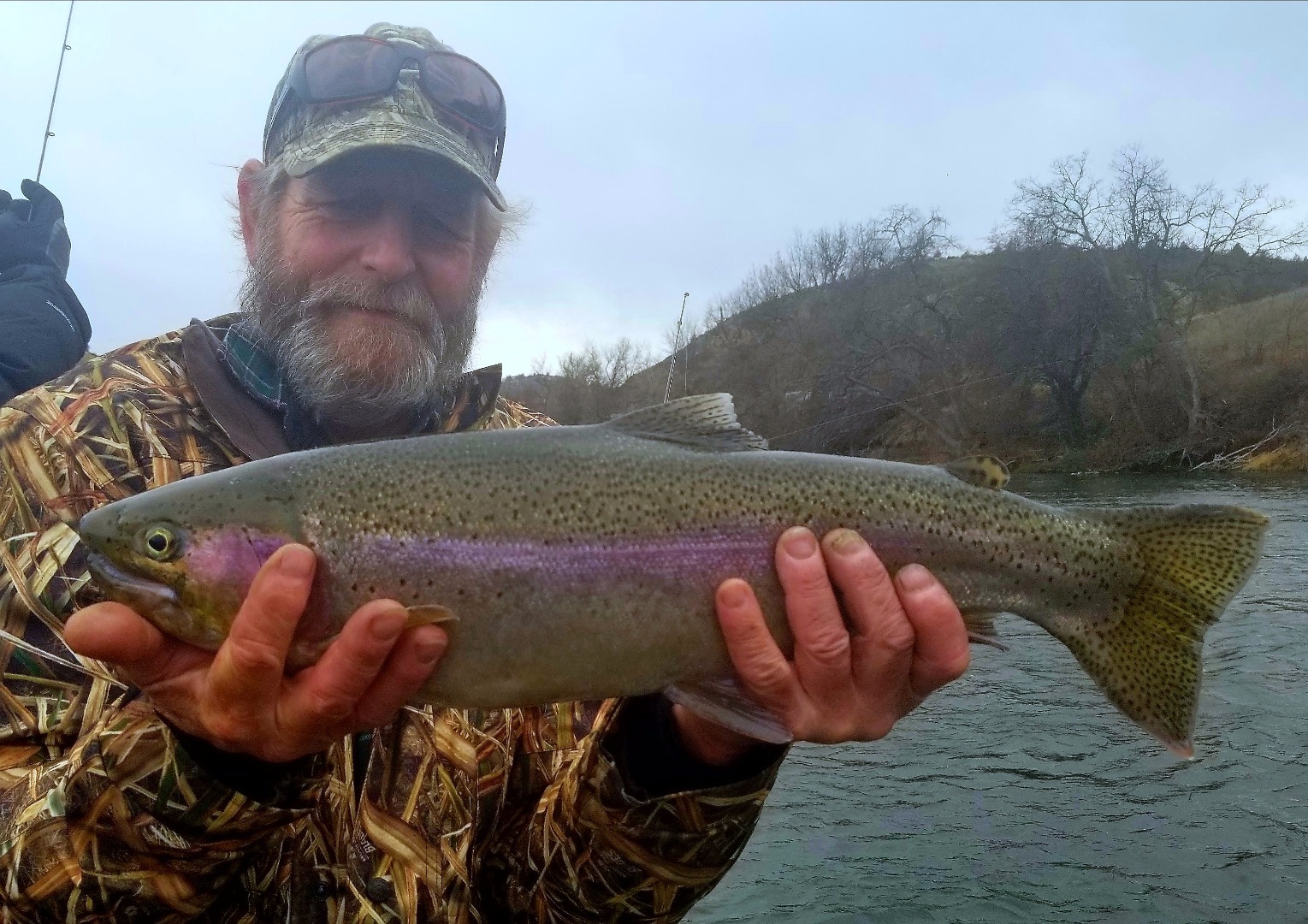 Carpspit Steelhead