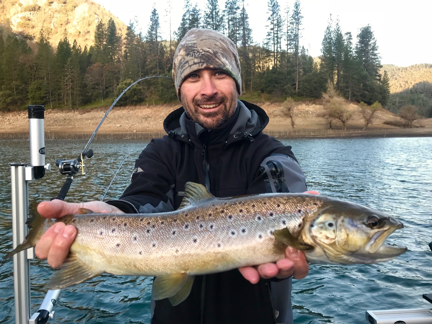 Shasta Lake continues to produce browns!