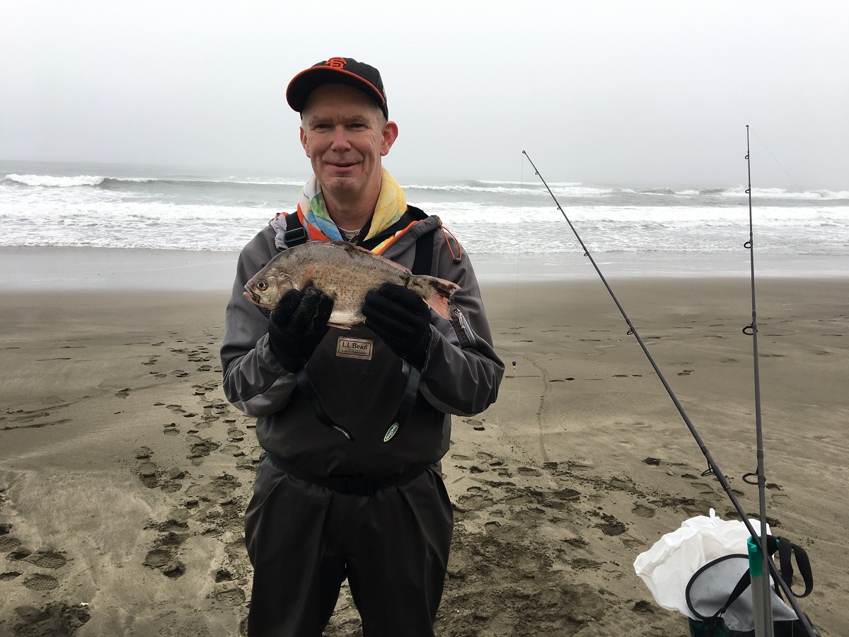 Ocean Beach Fish Report - San Francisco, CA (San Francisco County)