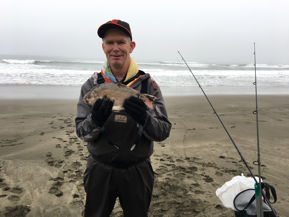 Surf Fishing with GHOST Shrimp 