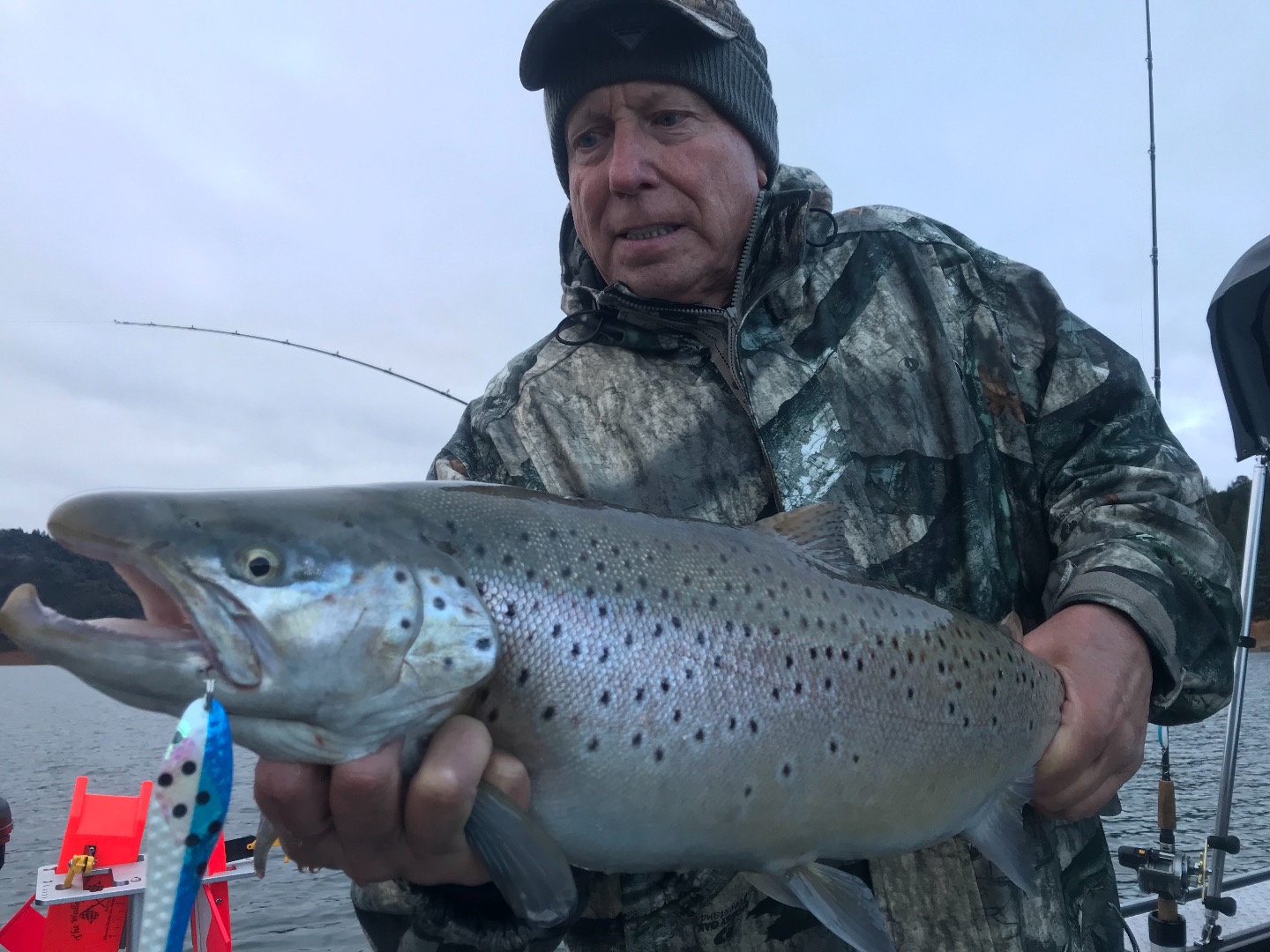 Fishing - Good German brown trout fishing on Shasta!