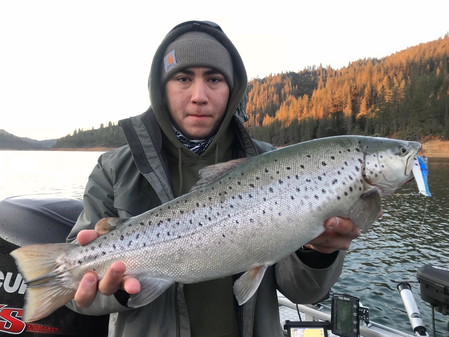 Shasta Lake brown bite holding steady.