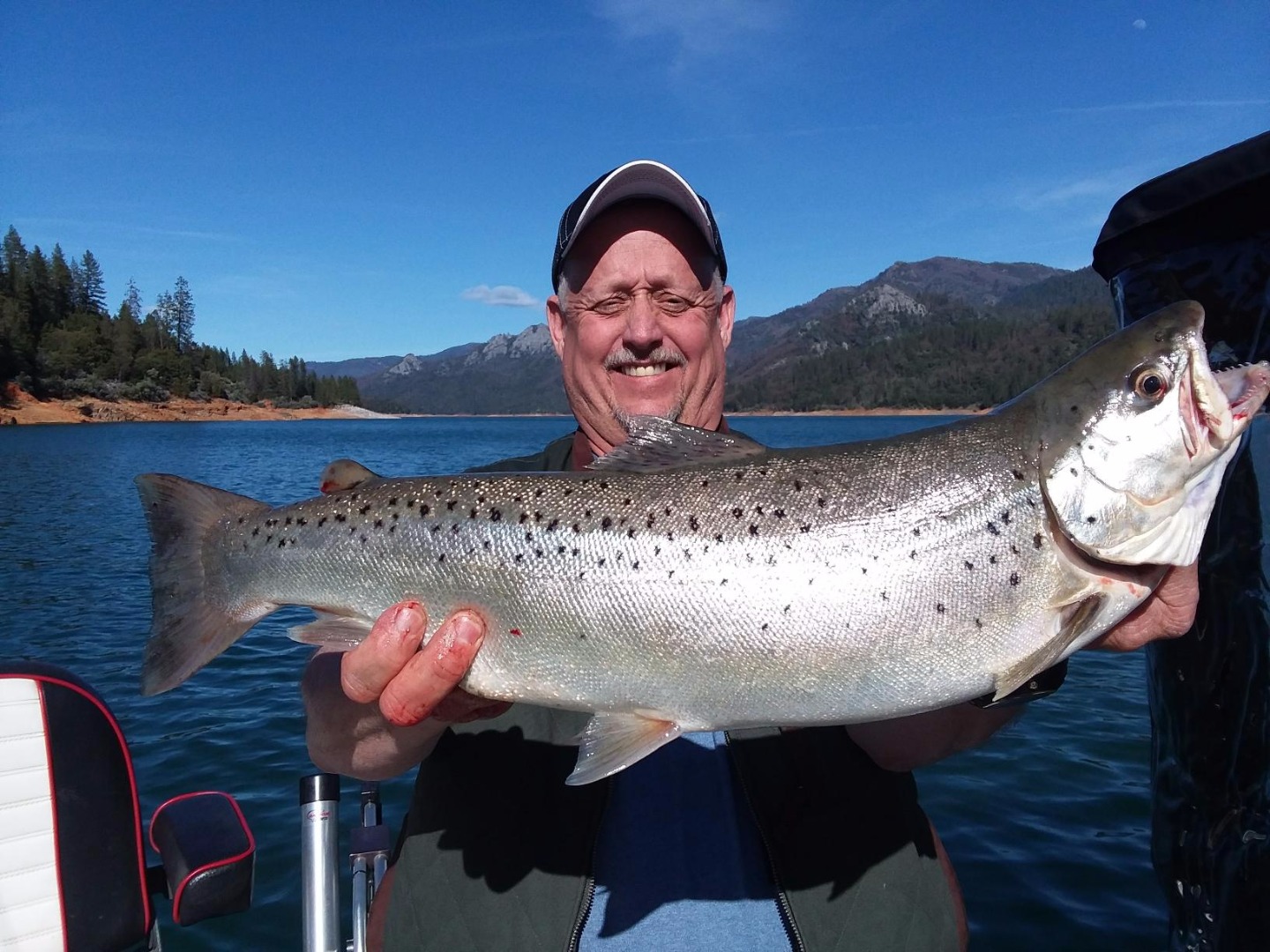 Windy Cold Big Browns