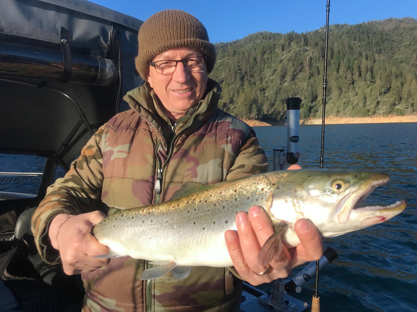 Shasta Lake brown trout in the warm sun!