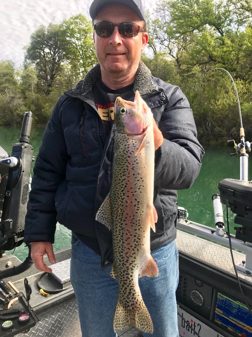 Rainbow trips are heating up in Shasta County!