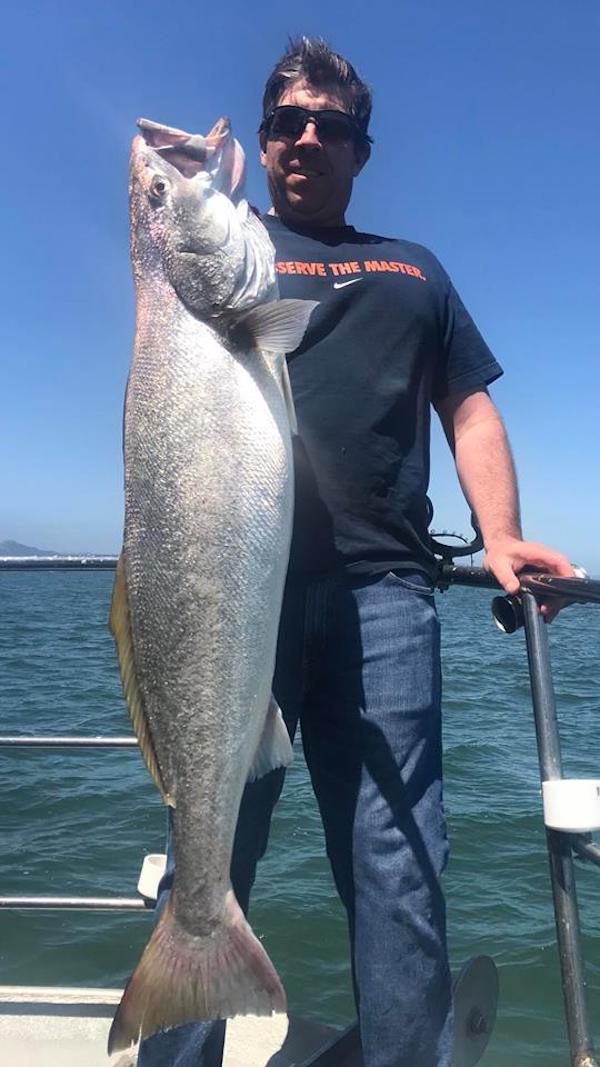 San Francisco Bay Fishing Report