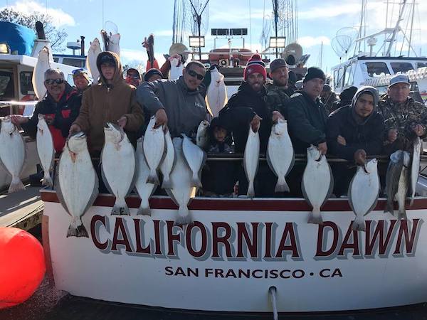 San Francisco Bay Fishing Report