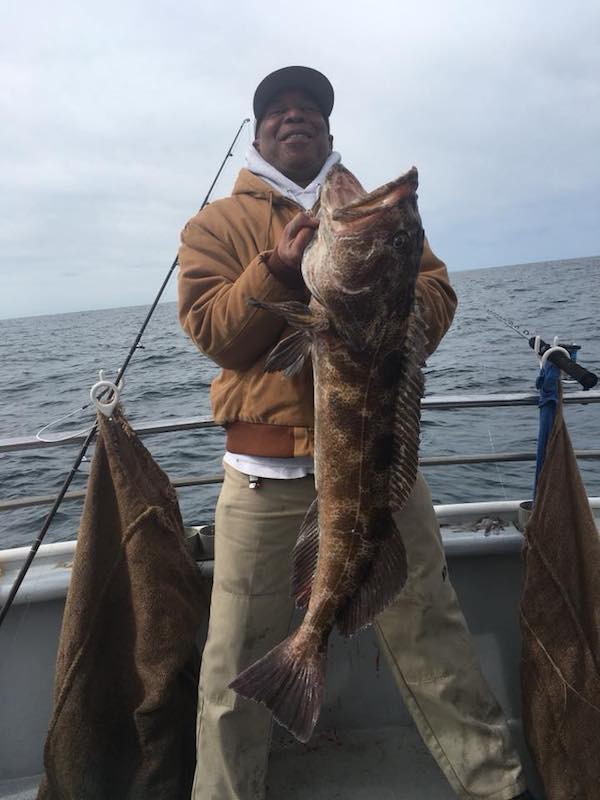 Farallon Islands Rockfish Report