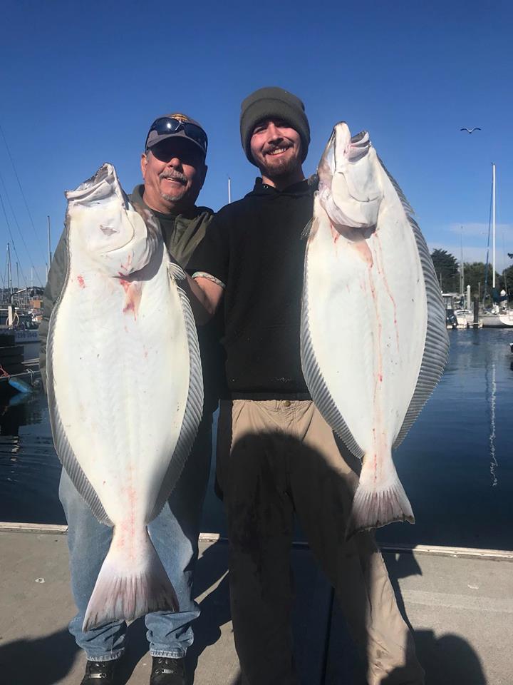 San Francisco Bay Fishing Report