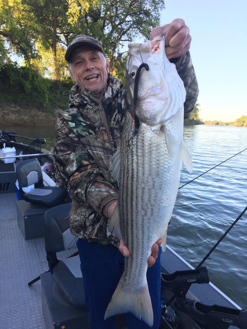 Limits of stripped bass!