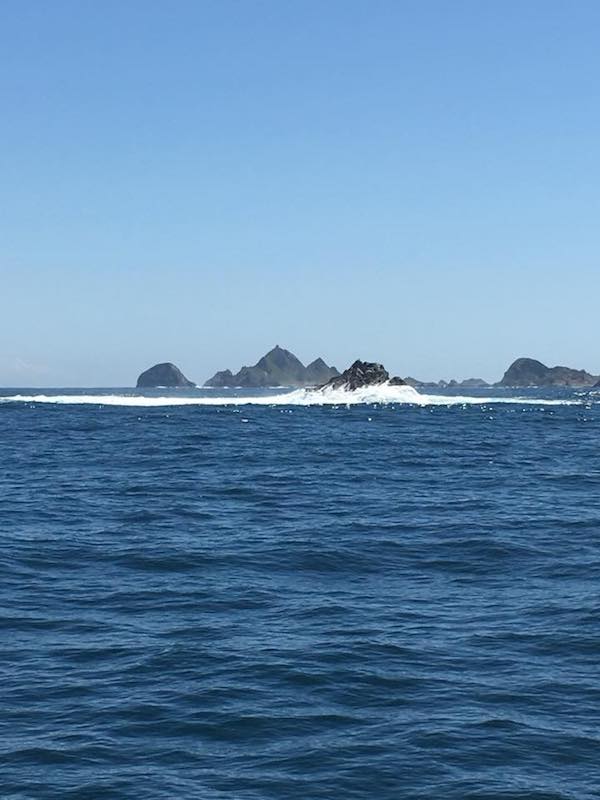 Fishing The Farallon Islands this week