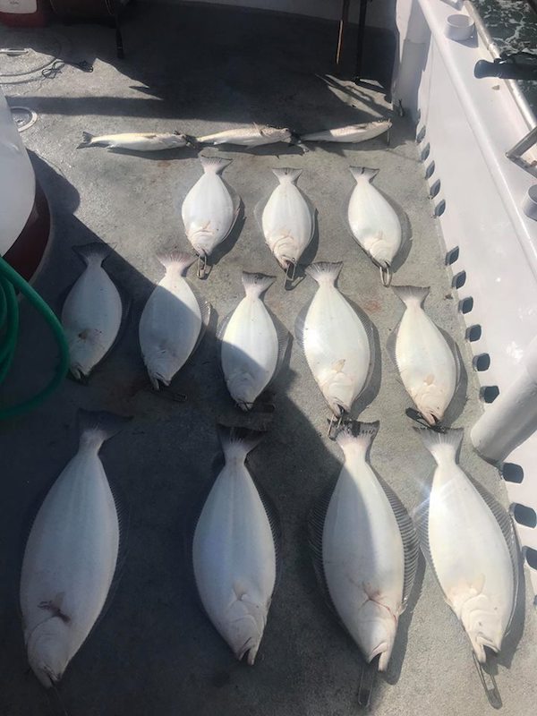 North Bay Fishing Report