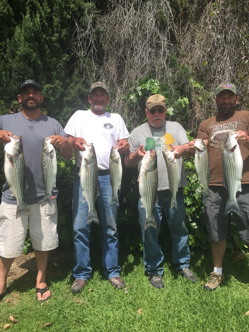 Sacramento Fishing Report