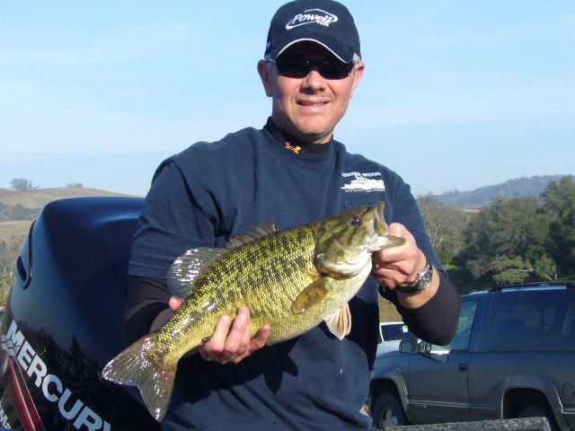 How are Black Bass Limits Regulated During Licensed Tournaments? cover picture